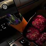 mohamed firas lahmer