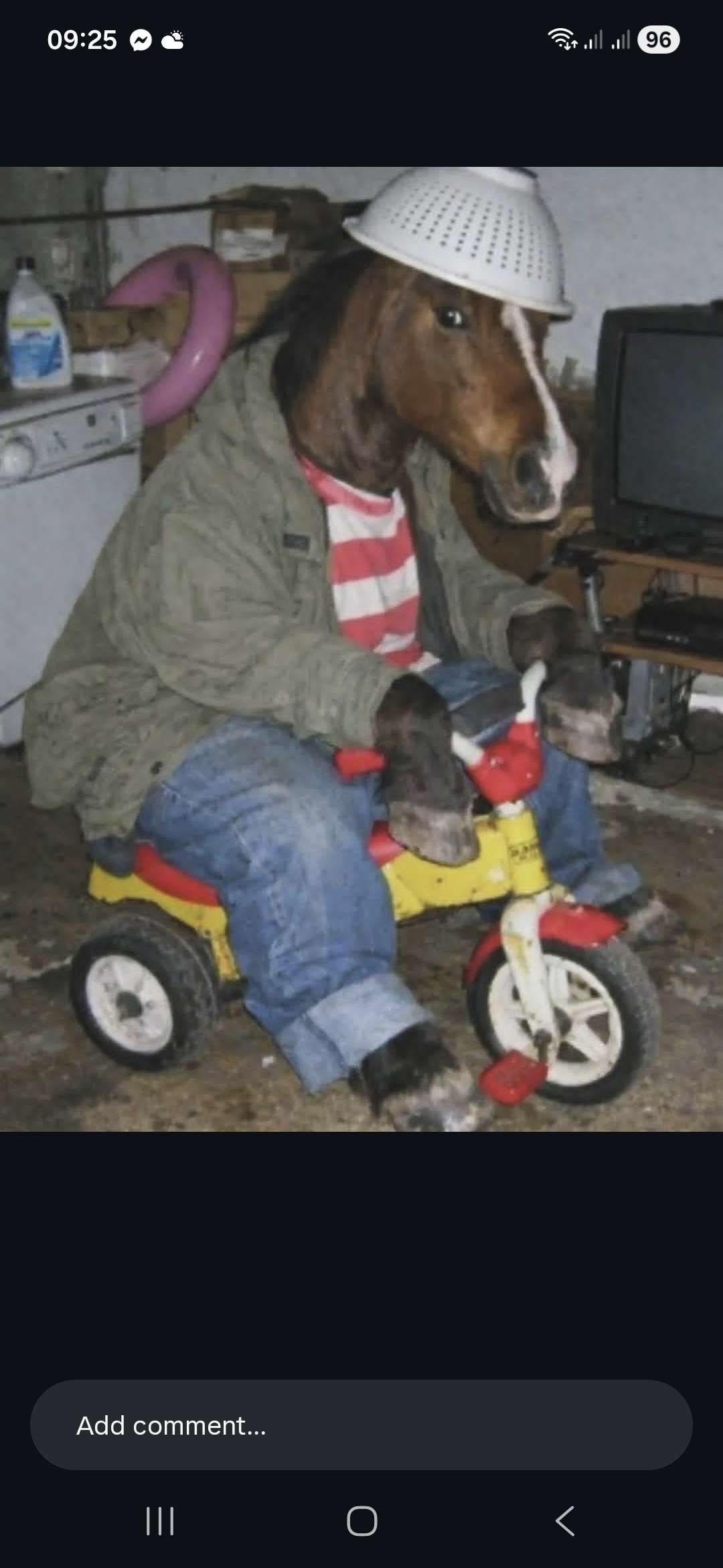 User Image