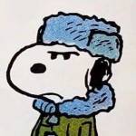 Rayen flapJack