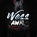 Wess AWM