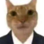 Potato