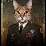 Colonel Mi3aw