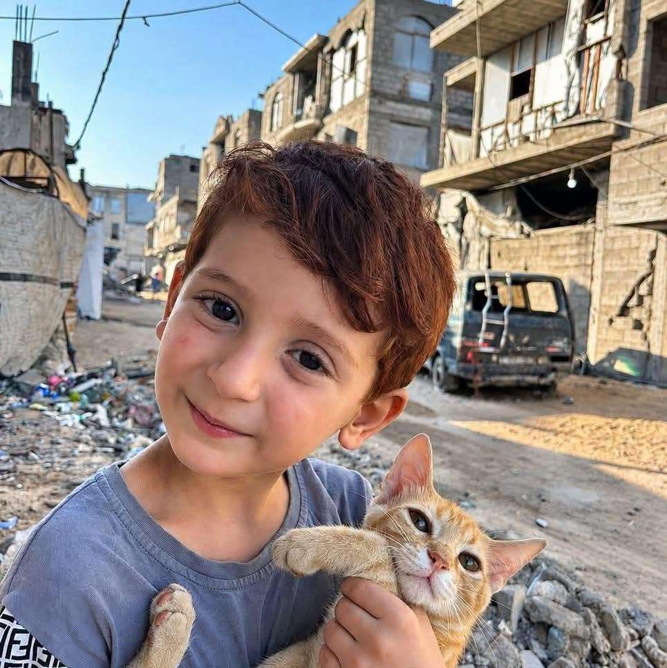 YASSINE BENALI HADDAD