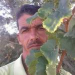 Imed hasnaoui