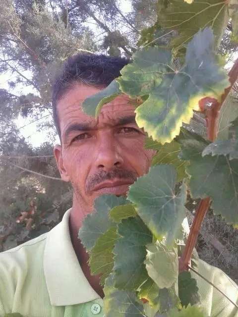 Imed hasnaoui